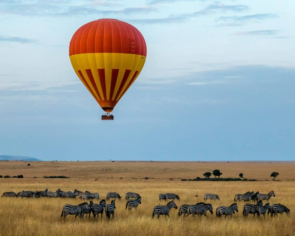 Hot-air balloon drifting over zebra herds on the Masai Mara plains, Kenya