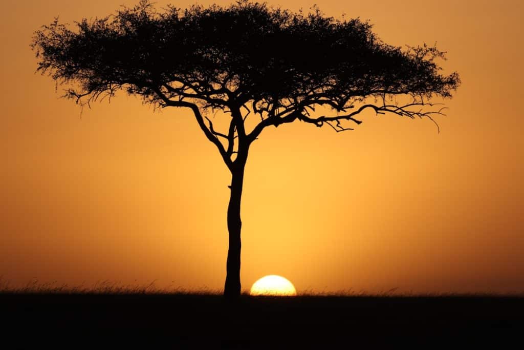 Sunset over the Masai Mara plains